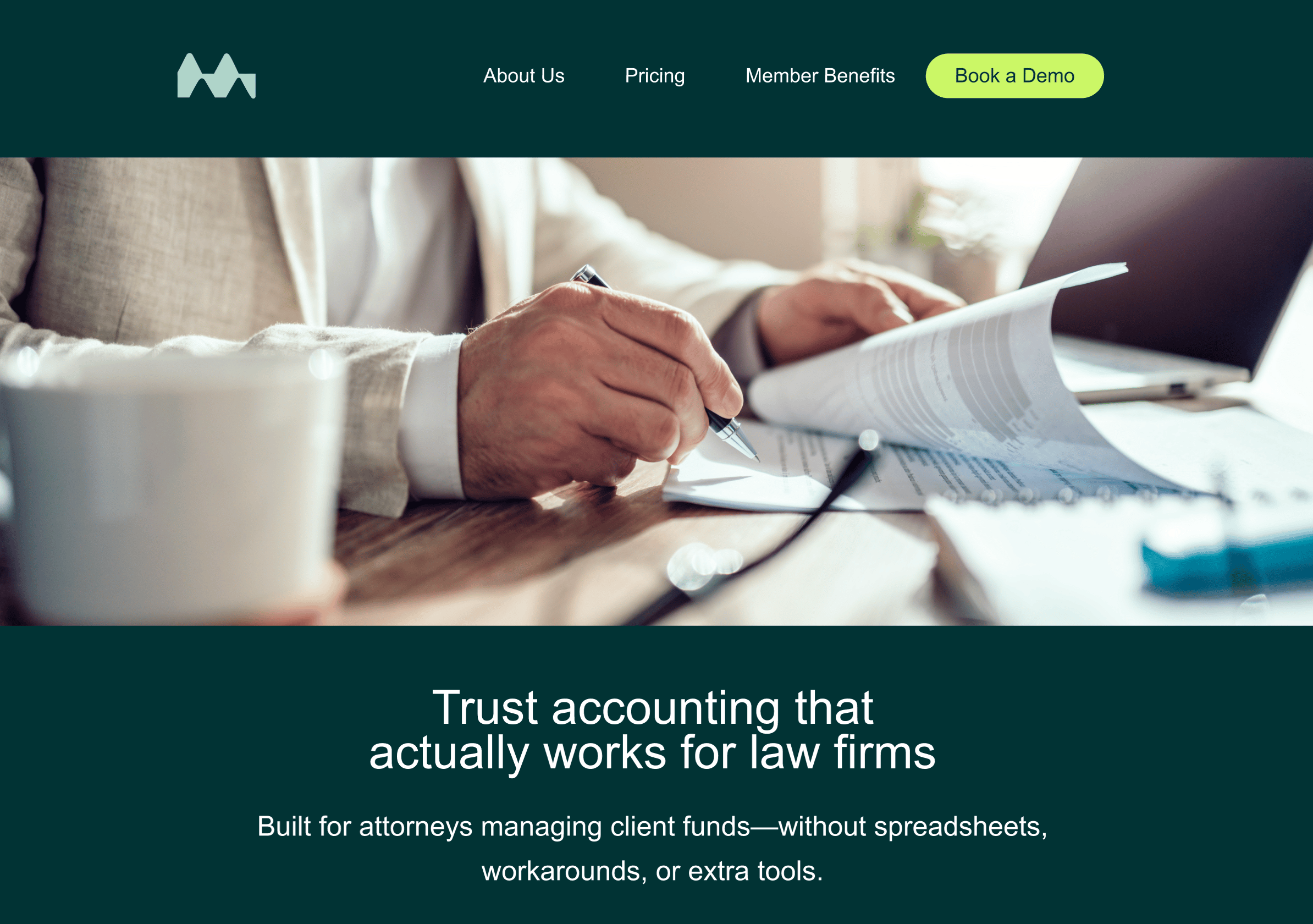 TrustLedger - Before Image
