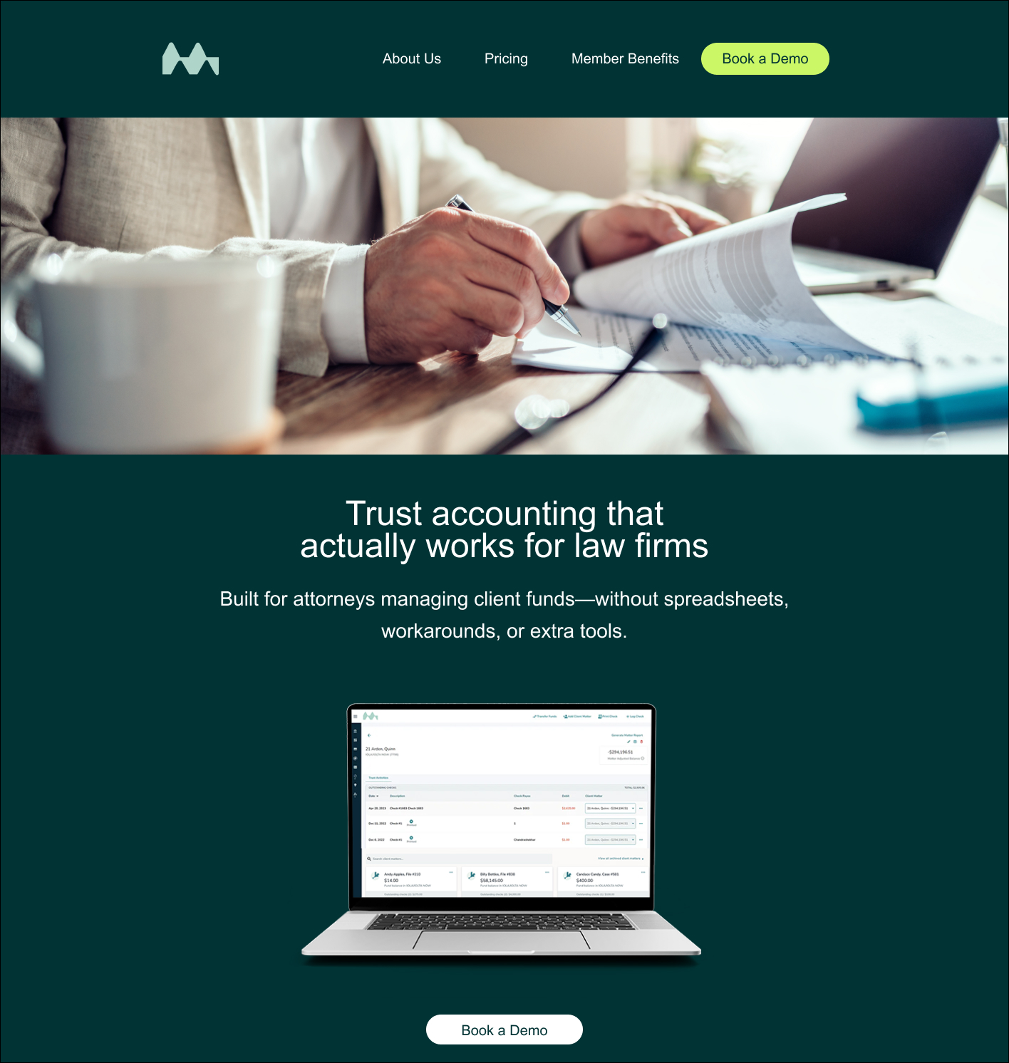 TrustLedger - Homepage Before Image